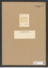 Zygoceros occidentalis L. W. (de-Toni-Nr.: Genus 126, Species 3550) Zeichnungen Sammlung Grunow Nr. 7030 (NHMW-BOT-W0375953)